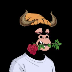  No-Bulls #16150