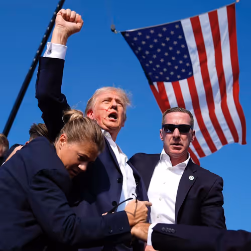 Trump NFT #14