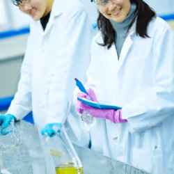 项目媒体占位符