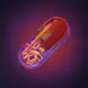 Onchain Pill