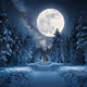 Twilight