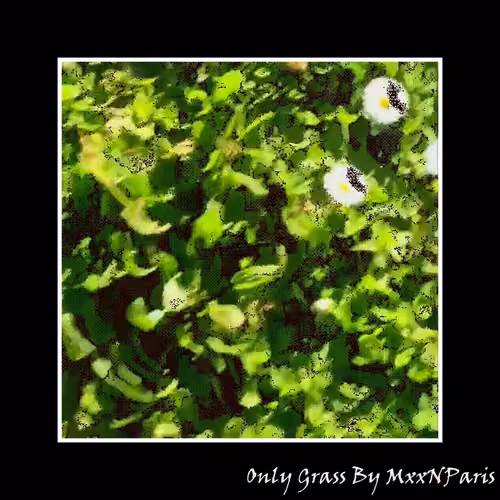 Only Grass 7348