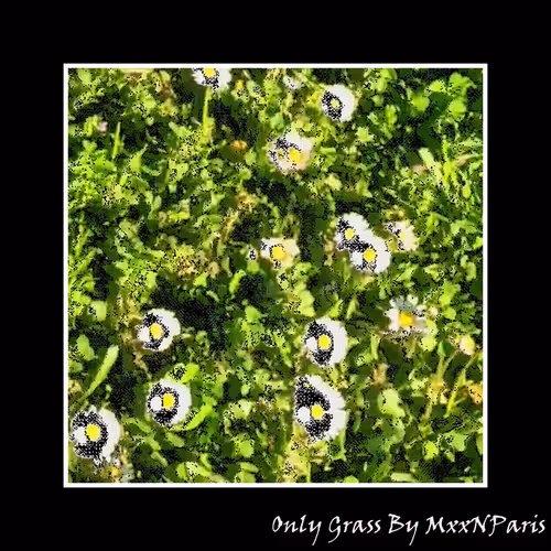 Only Grass By MxxNParis