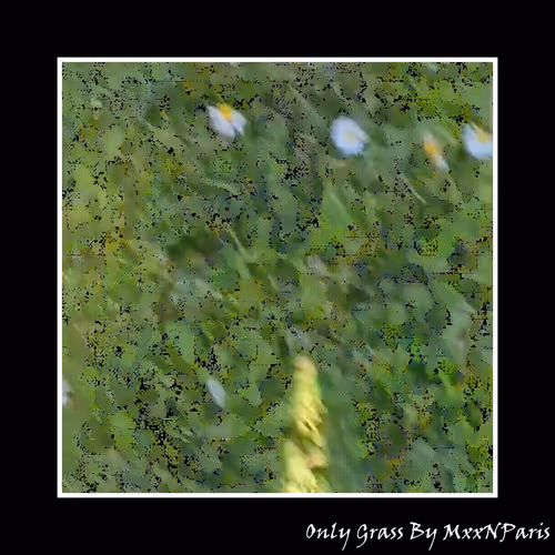 Only Grass 1275