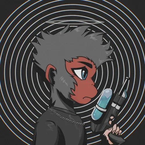 Astromonkz