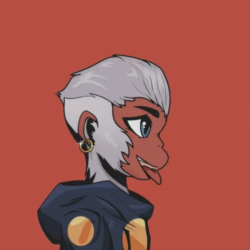 Astromonkz