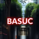 BASIC