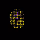 494