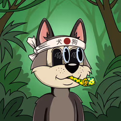 Canidae #3851