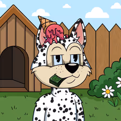 Canidae #5206