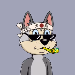 Canidae #1616