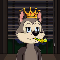 Canidae #1527