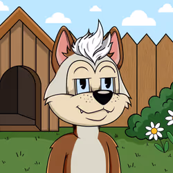 Canidae #3089