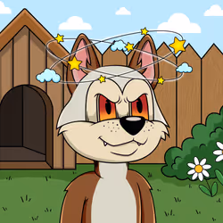 Canidae #3578