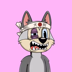Canidae #6618