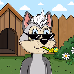 Canidae #5481