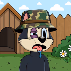 Canidae #2419