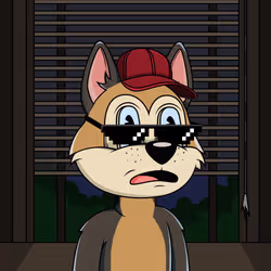 Canidae #2347