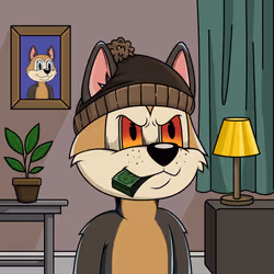Canidae #6201