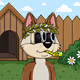 Canidae #3494