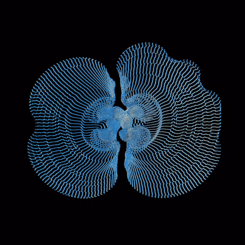 Corpuscular Pixels