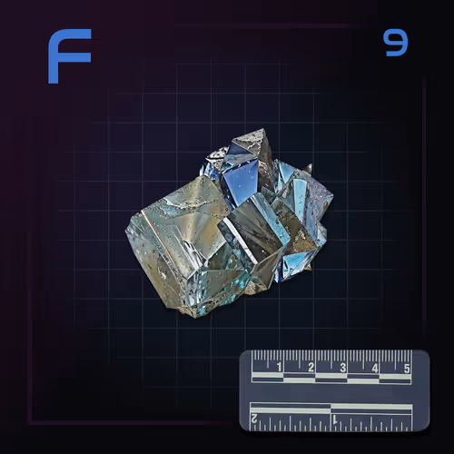 Item #21 Media