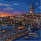 Galata Köprüsü(Tokenize)