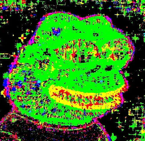 AcidPepe