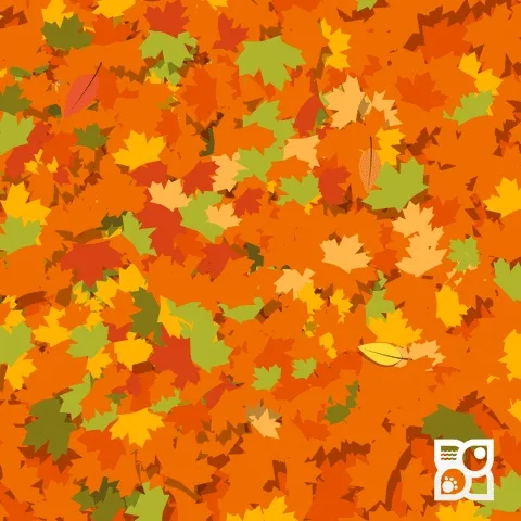 Fall at the Florida Zoo #2650