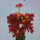 Rodeo posts