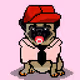 Ashy the Pug #67