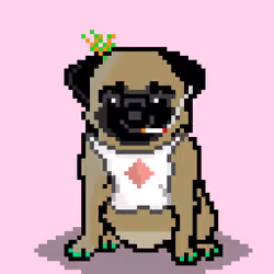 Ashy the Pug #1680