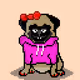 Ashy the Pug #3880