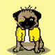 Ashy the Pug #4068