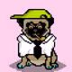 Ashy the Pug #3850
