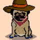 Ashy the Pug #4588