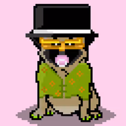 Ashy the Pug #1337