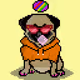 Ashy the Pug #333