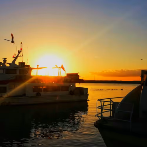 Sunset 1173