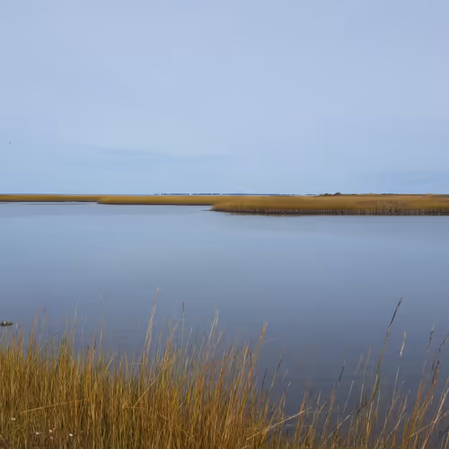 Peaceful Marsh
