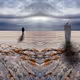 Editions by Melih