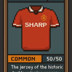 FOOTBALL JERSEYS #501