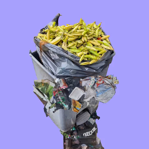 Item #4 Media