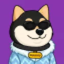 2898