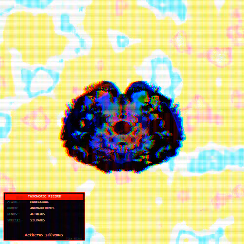 Item #6 Media