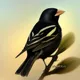 Bobolink #1412