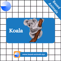 Koala #37