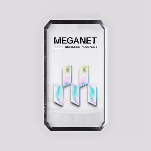 Meganet Business Passport 371742381