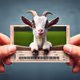 Cute Goat
