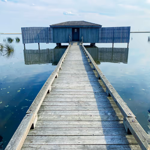 Duck Blind